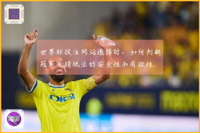 世界杯投注网站选择时，如何判断冠军竞猜玩法的安全性和有效性
