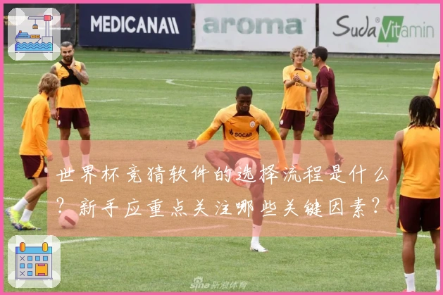 世界杯竞猜软件的选择流程是什么？新手应重点关注哪些关键因素？