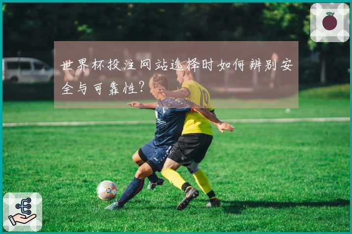 世界杯投注网站选择时如何辨别安全与可靠性？