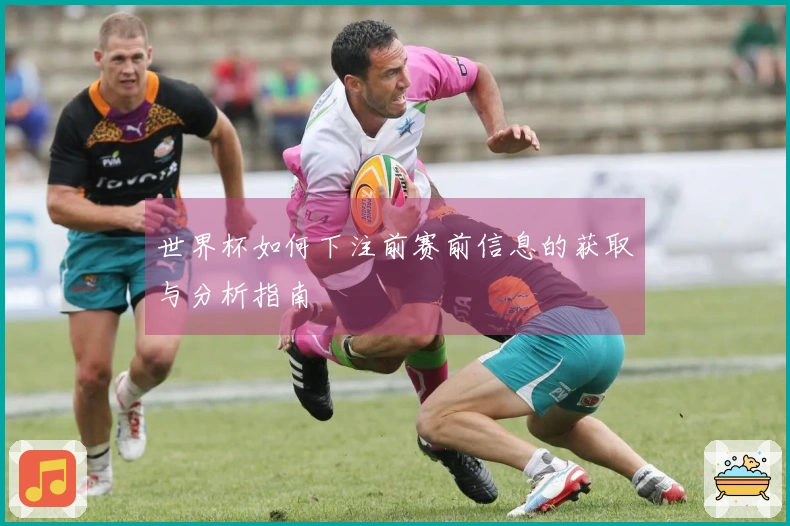 世界杯如何下注前赛前信息的获取与分析指南