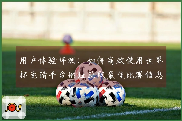 用户体验评测：如何高效使用世界杯竞猜平台地址获取最佳比赛信息