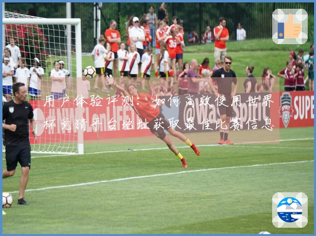 用户体验评测：如何高效使用世界杯竞猜平台地址获取最佳比赛信息