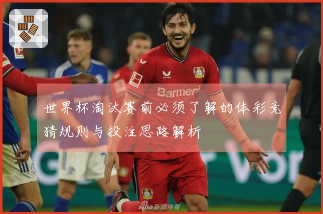 世界杯淘汰赛前必须了解的体彩竞猜规则与投注思路解析