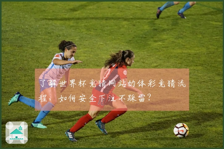 了解世界杯竞猜网站的体彩竞猜流程，如何安全下注不踩雷？