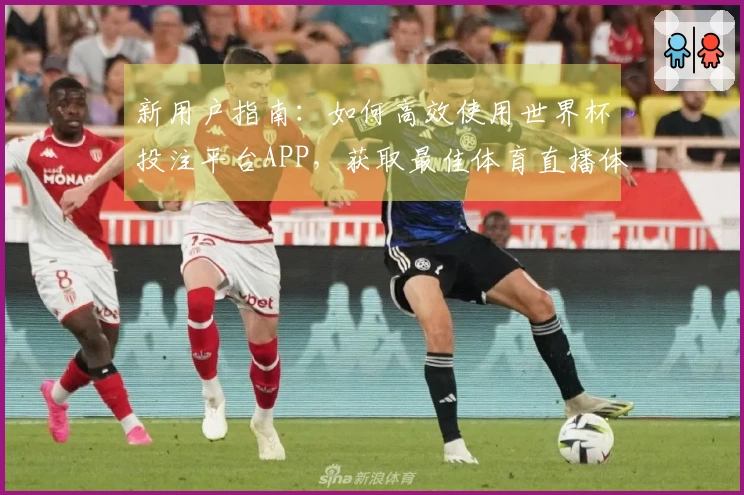 新用户指南：如何高效使用世界杯投注平台APP，获取最佳体育直播体验