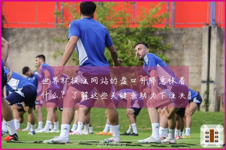 世界杯投注网站的盘口升降意味着什么?了解这些关键点助力下注决策