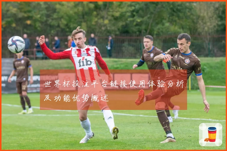 世界杯投注平台链接使用体验分析及功能优势概述