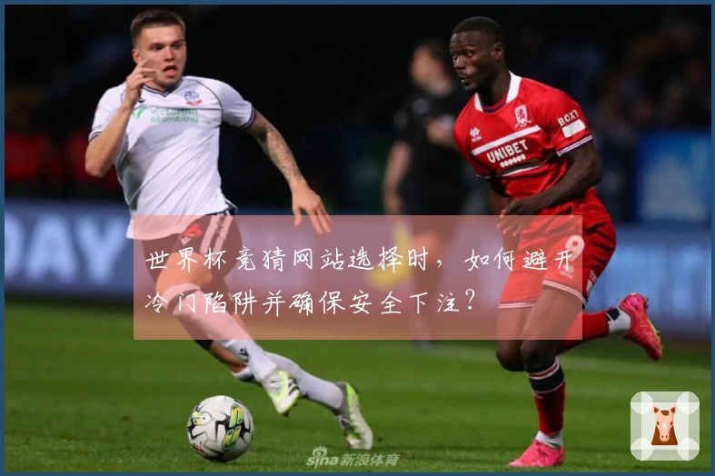 世界杯竞猜网站选择时，如何避开冷门陷阱并确保安全下注？