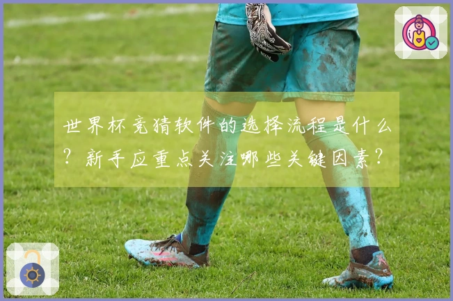 世界杯竞猜软件的选择流程是什么？新手应重点关注哪些关键因素？