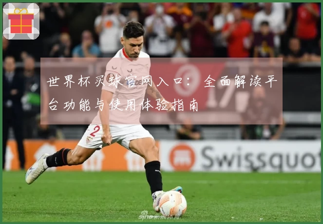 世界杯买球官网入口：全面解读平台功能与使用体验指南